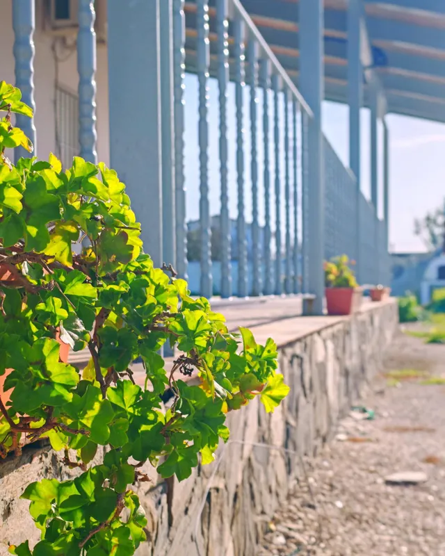 Chalet en venta en Chiclana de la Frontera – Zona Pago del Humo — 14