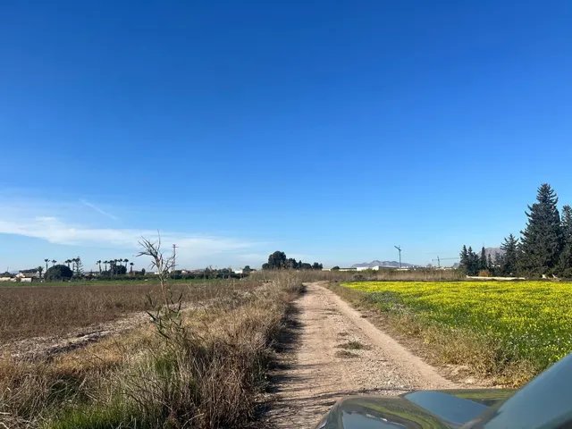 Terreno Almoradí Partida el Gabato 11.636 m2 Cerca Polígono Maromas y nuevo colegio — 4