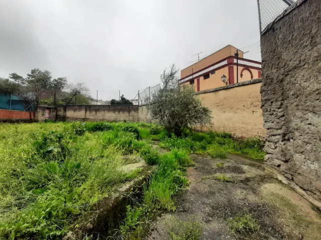 Gran casa con patio de 323 metros en Aliseda - foto 5