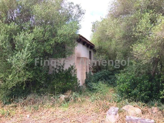 C-7048 GRAN FINCA EN CIUTADELLA — 30