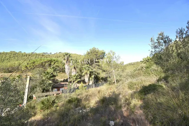 TERRENO CON BUENA ORIENTACIÓN Y VISTAS EN MAS MESTRE — 14