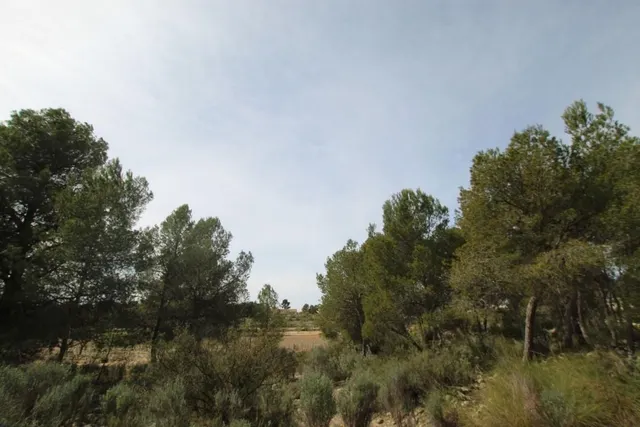 Villa 1 habitación 115m² en venta - Comunidad valenciana — 10