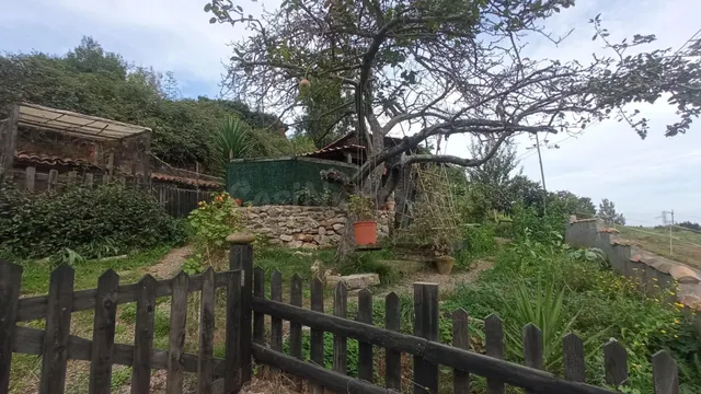 Terreno urbano con cabaña en Oviedo - foto 2