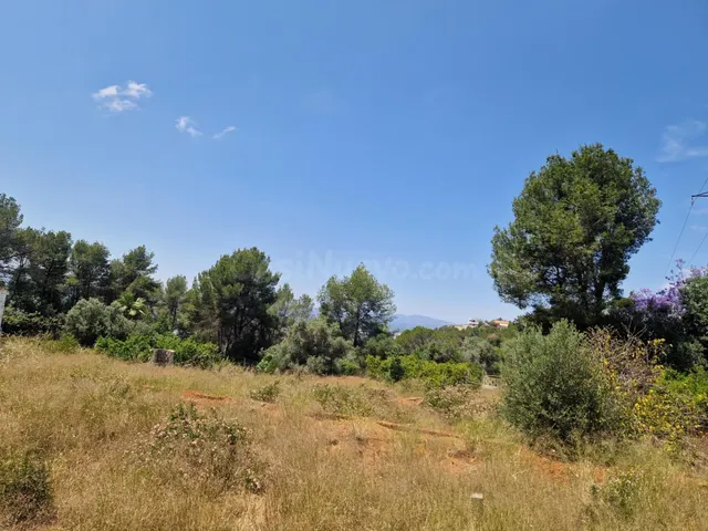 FANTASTICA PARCELA EN EL RESPIRALL - foto 3