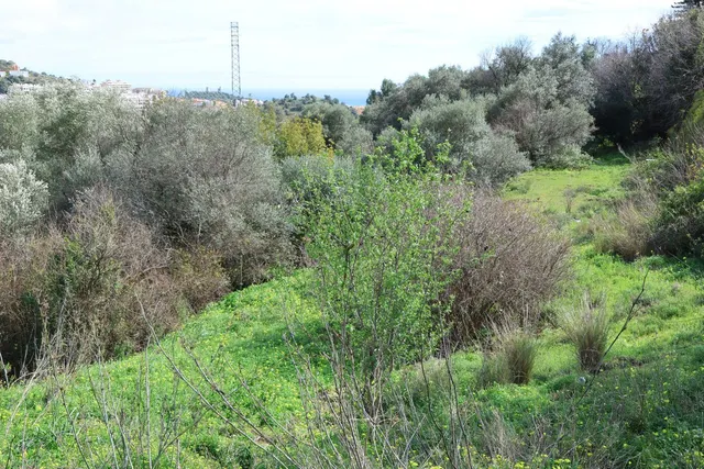 Parcela en venta - Riviera del sol — 8