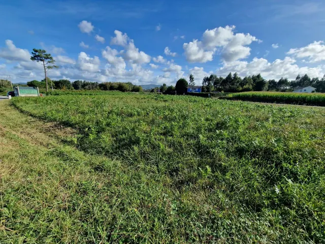 Parcela urbanizable de 1.967 m2 en El Franco, próxima a la c - foto 4