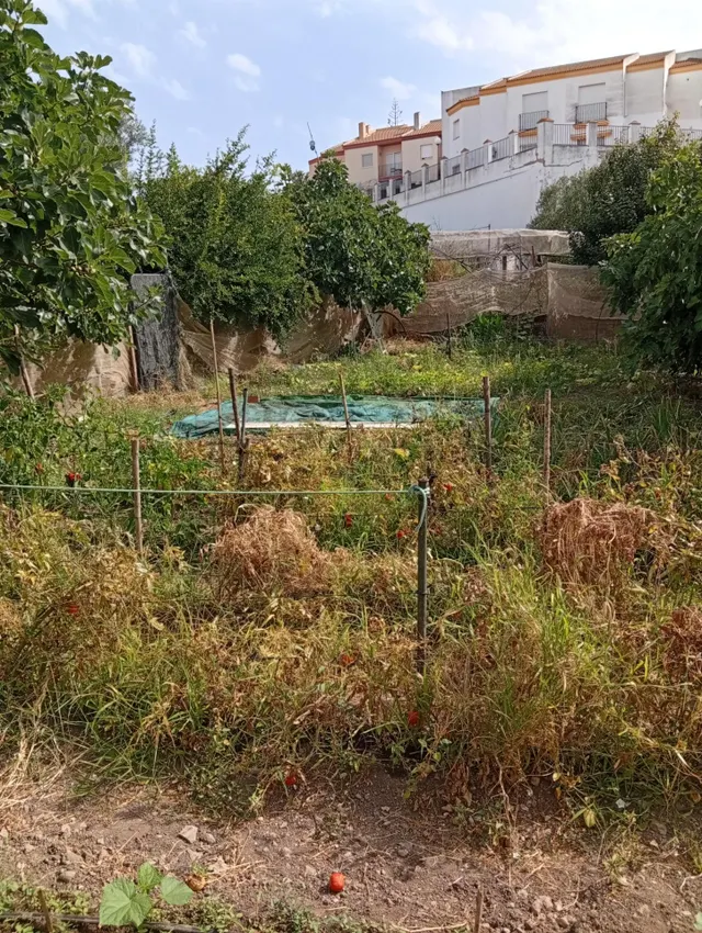 ¡Gran oportunidad en La Villa! Solar urbano de 1600 m2 en Ayamonte — 9