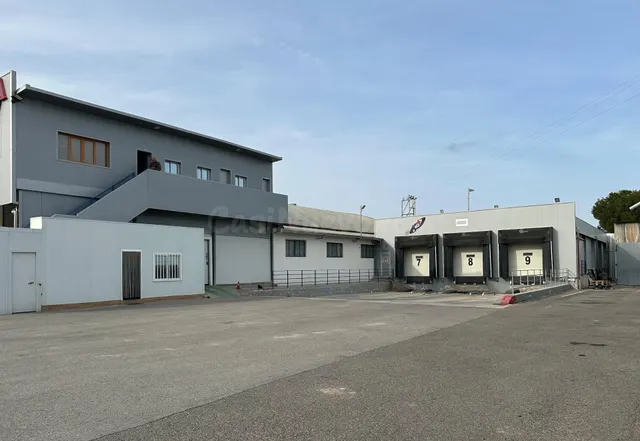 Nave logística con 9 muelles, cámaras frigoríficas y oficina - foto 3