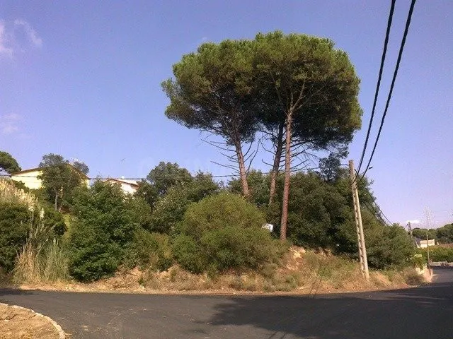 MUY BIEN UBICADO! - foto 3