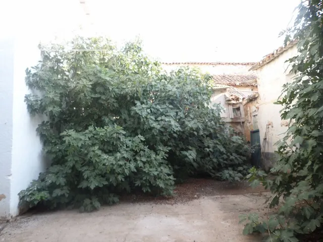 *CASA DE DOS PLANTAS CON LOCALES JUNTO A PLAZA DE ESPAÑA* Fa - foto 4