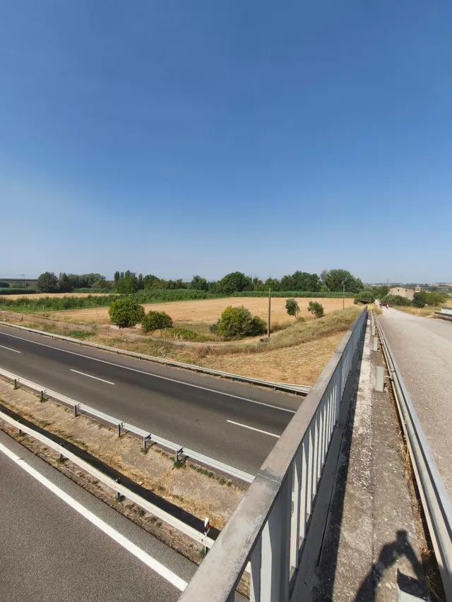 Fincas rústicas en Lleida – venta conjunta — 11