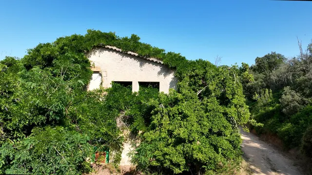 Masía histórica para rehabilitar con 19 hectáreas de terreno – Tossa de Mar — 12