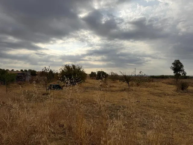 ¡Ocasión en Trigueros! Finca rústica totalmente legalizada con excelente acceso y gran tranquilidad — 9