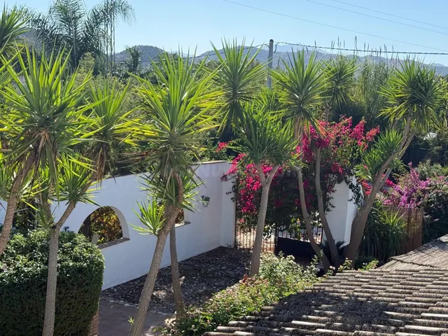 Authentico cortijo autosuficiente con viñedo en Coín - foto 5