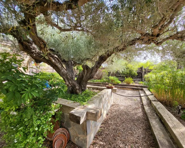Magnífica Finca plana y ajardinada, con casa unifamiliar de  - foto 4