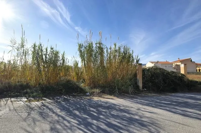 Gran parcela en Padul — 21