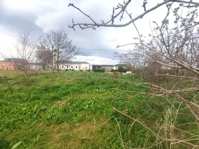 PARCELA EN TOL, CASTROPOL - foto 2