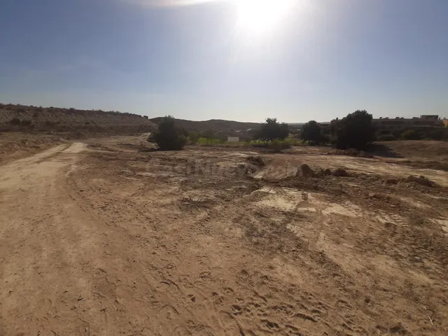 Parcela 5000m2 en la Cunas, Palomares - foto 3
