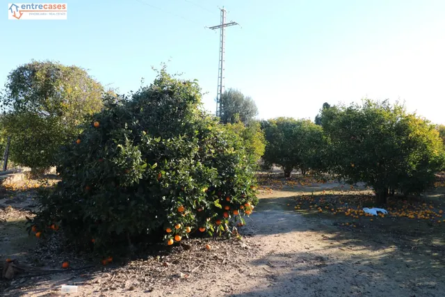 Conjunto de parcelas en Canet de Berenguer (zona gasolinera) — 19