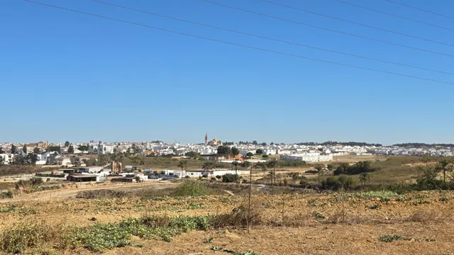 Magnífica casa de campo con piscina y vistas a Moguer, en finca de casi 15.000 m2 — 2