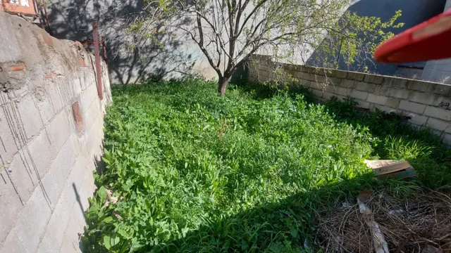 TERRENO URBANO EN LA ZONA ALTA — 2