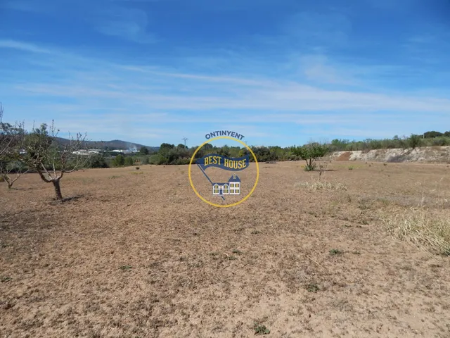 TERRENO DE 17.900M2  EN PRODUCCIÓN CON POSSIBILIDAD DE CONSTRUIR EN AGULLENT(VALENCIA) — 3