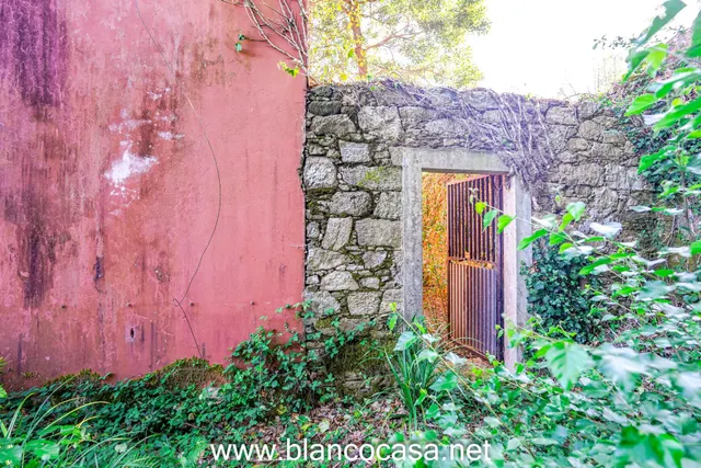 ¡¡CASA + FINCA de 9916 M2 + HÓRREO para REFORMAR por 68.990 €!! — 14