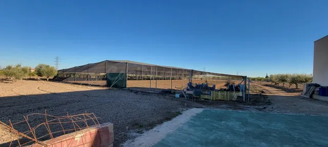Casita Agrícola 1 habitación 1013m² en venta - Costa blanca  - foto 3