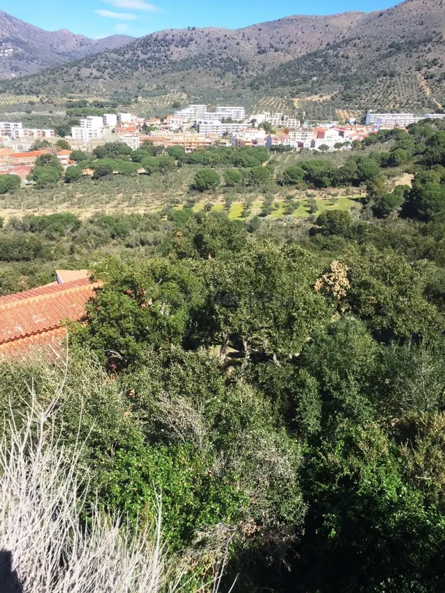 PARCELA EN ROSAS ZONA GRECS - foto 2