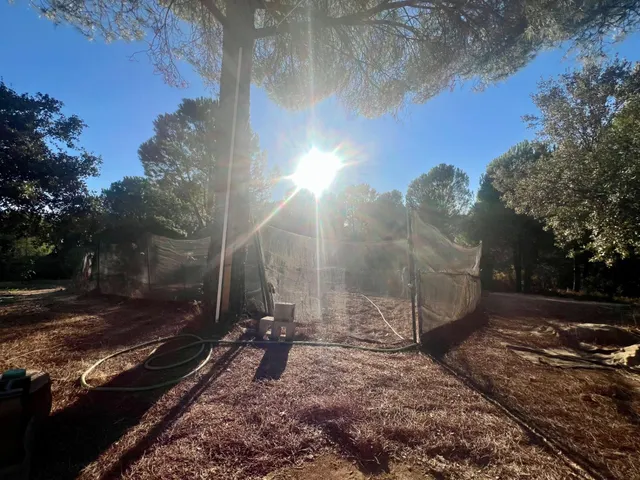 Espectacular finca en Villaviciosa de Córdoba – en pleno corazón de sierra morena — 6