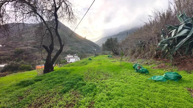 Terreno rural en venta - La yedra gran canaria — 13
