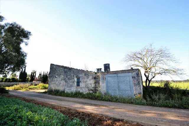 Finca con proyecto aprobado en Llubi — 6