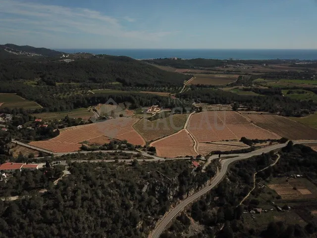 Finca rústica con dos casas a cinco minutos de Sitges. — 6