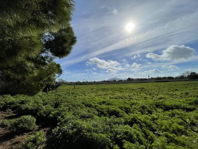 Casa de campo 720m² en venta - Felanitx - foto 3