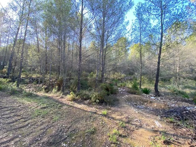OPORTUNIDAD ENORME TERRENO EN VENTA POR 150.000€ — 22