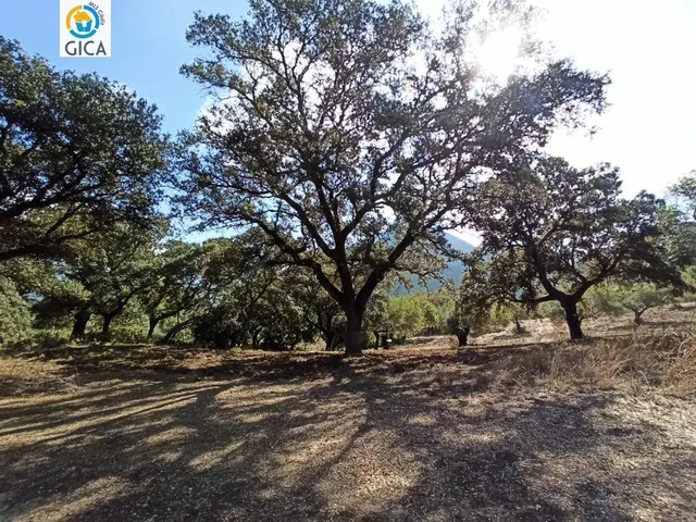 CASA CON PARCELA  EN LA SIERRA DE CADIZ -EL BOSQUE — 27