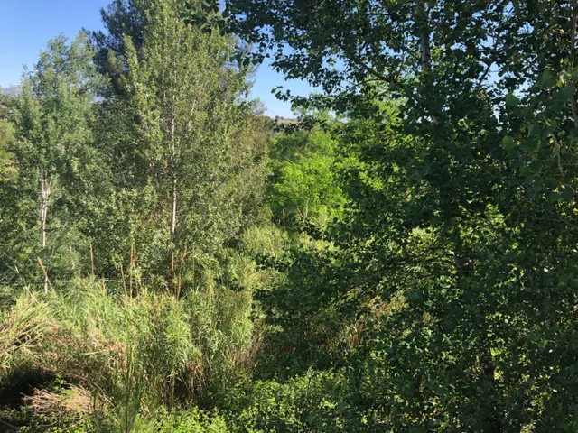 GRAN PARCELA EN VENTA EN GELIDA -10689 M2- — 10