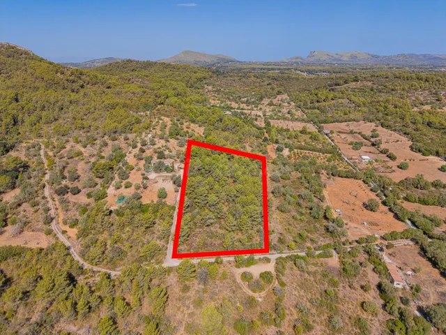Terreno agrícola de 9.210 m2 en Son Servera, Mallorca - foto 3