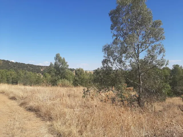 Parcela en el Pradillo - foto 5