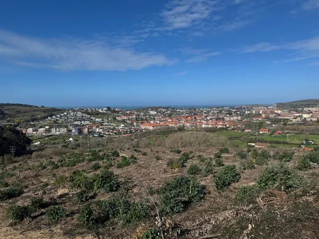 Terreno forestal a la venta en Sopela. - foto 5