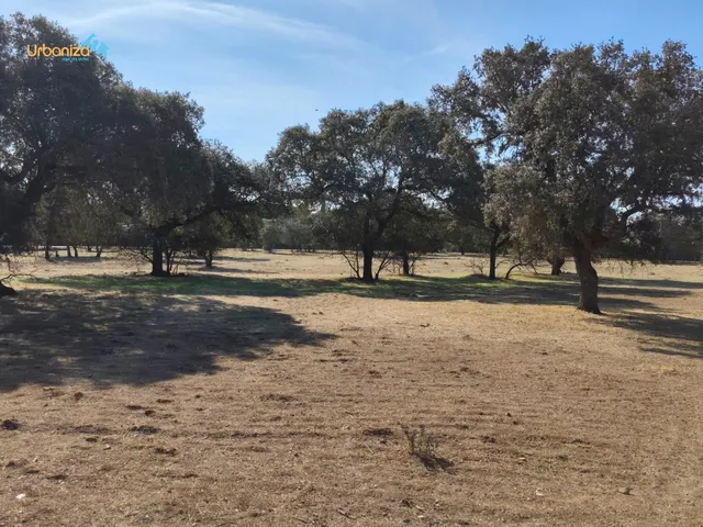 Parcela en tres arroyos totalmente vallada con pozo, portera de entrada y  2 acometidas de luz — 8