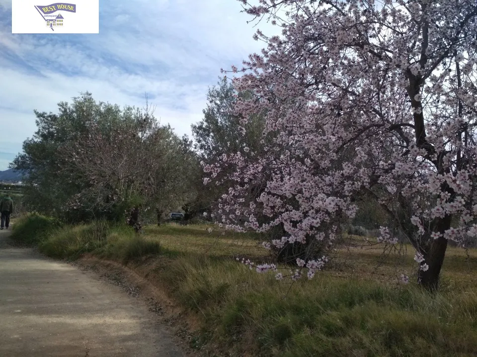 OPORTUNIDAD TERRENO CON REFUGIO EN AGULLENT/ALBAIDA