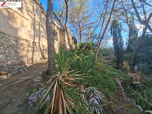 OCASIÓN FINCA RÚSTICA CON DOS CASAS INDEPENDIENTES, IDEAL DOS FAMILIAS!! — 37