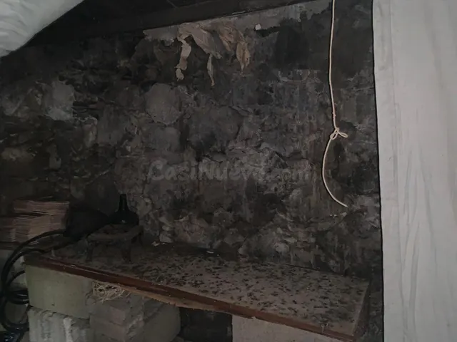 Casa con terreno y muchas posibilidades en El Hoyo del Barrio, El Hierro — 3