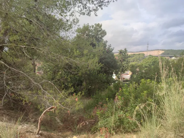 TERRENO RÚSTICO EN VENTA URB. TORRE DEL VEGUER, MAS PARES DE DALT — 4
