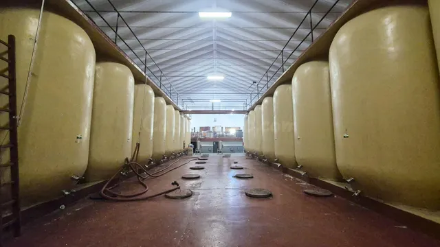 BODEGA VENTA PEREÑA DE LA RIBERA. Urbis te ofrece una bodega - foto 2