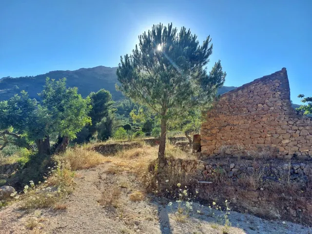 Casa de campo con proyecto para la construcción de una vivienda de 143m2 — 8