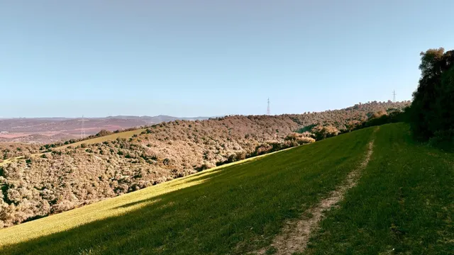 finca rústica en la zona de patria, Vejer de la frontera — 2