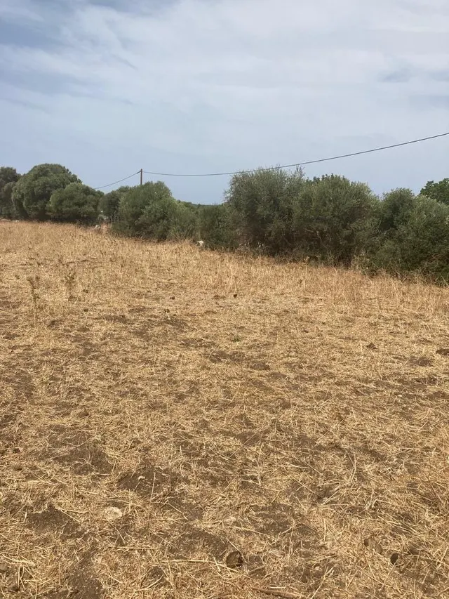 TERRENO RUSTICO EN BARBATE - foto 4