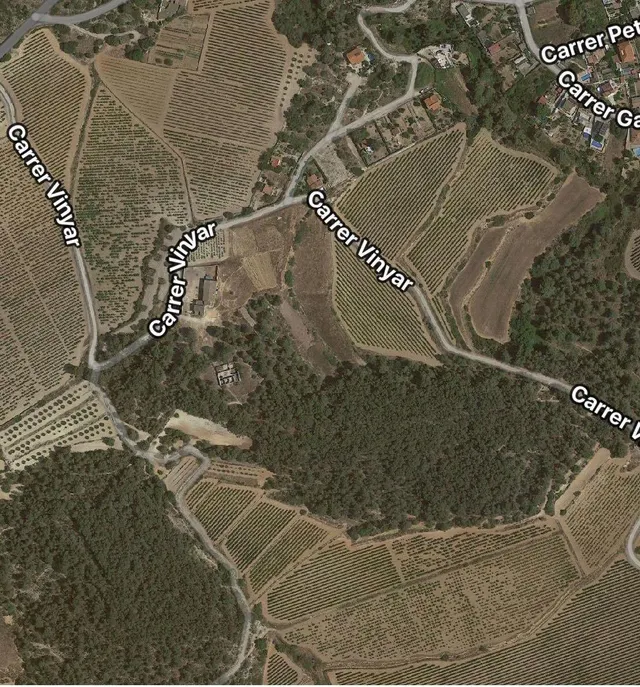 Finca de aprox 67 hectàreas. Con dos casas principales para reformar — 20
